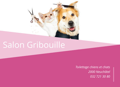 Salon Gribouille Toilettage chiens et chats 2000 Neuchâtel 032 721 30 80